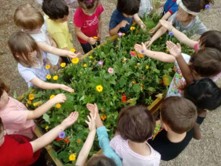 Crowdfunding per un orto condiviso (a scuola)