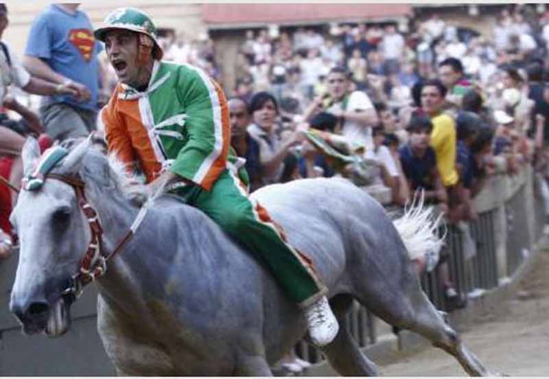 Palio, assegnati i cavalli. Selva e Civetta le favorite