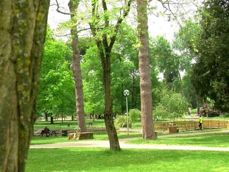 Anconella bella di notte. E nel parco arriva il camper dei vigili
