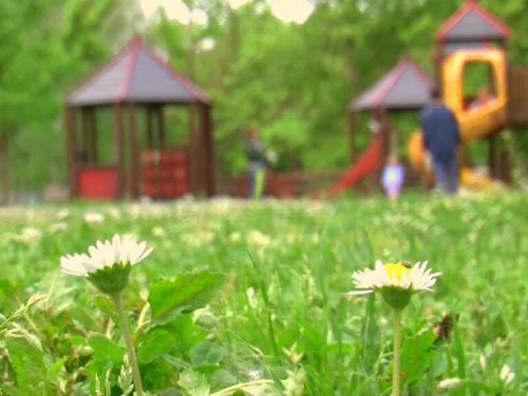 I migliori giardini di Firenze per un picnic