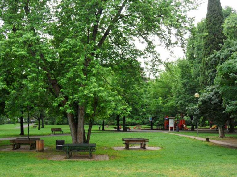 La ”palestra” trasloca al parco. Gratis