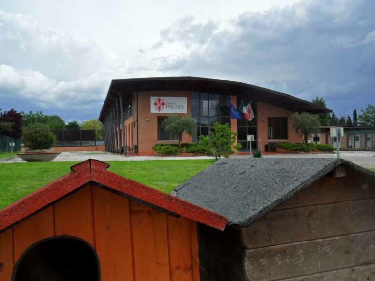Qua la zampa. Il Parco degli animali spegne 5 candeline