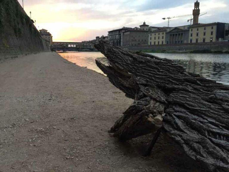 Nuovo percorso lungo l’Arno (con coccodrillo)