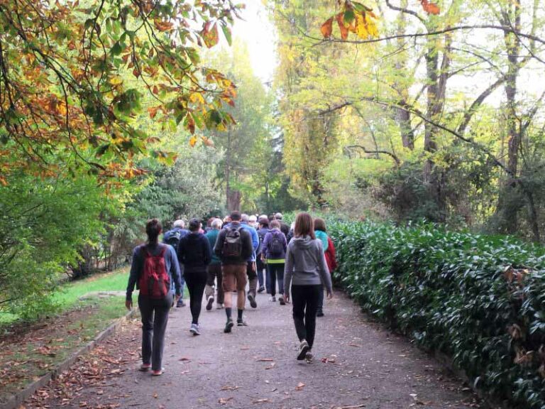 Tornano le passeggiate nei quartieri fiorentini