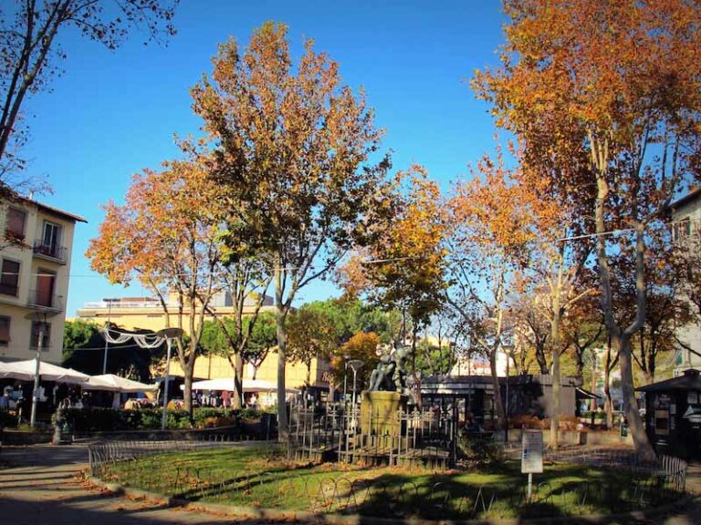 Piazza Dalmazia, tre platani da abbattere