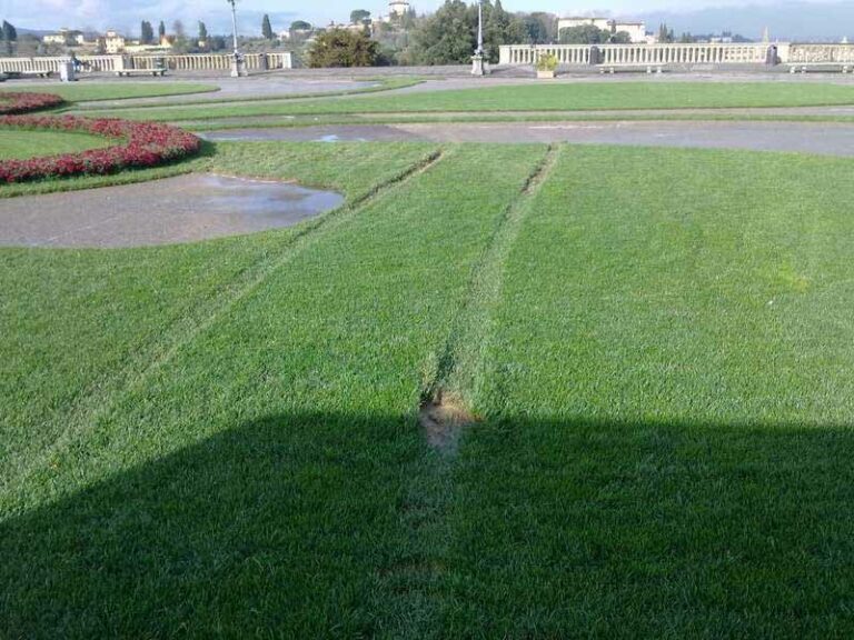 Vandali al piazzale Michelangelo: preso di mira il prato del Giglio