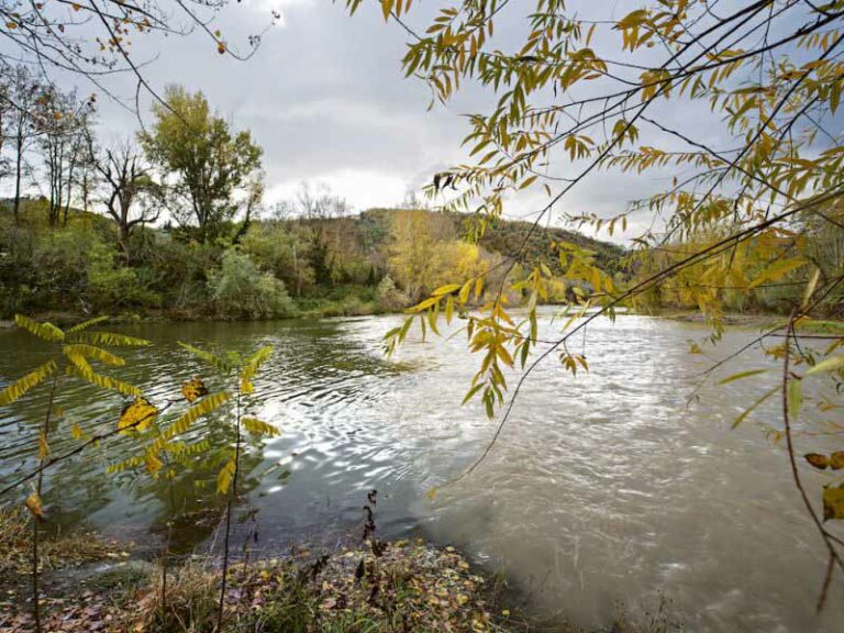 Progetto Riva, l’Arno tra arte contemporanea e integrazione