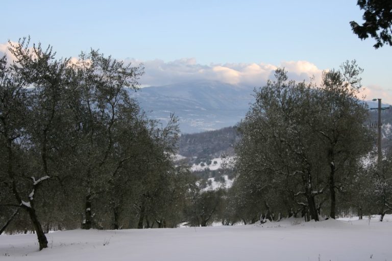 Sciare vicino a Firenze? Ora si può, riapre Secchieta
