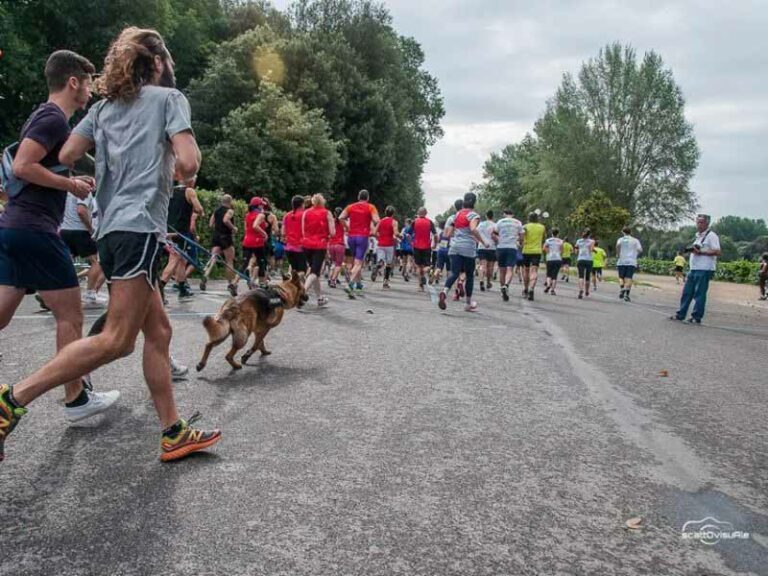 La solidarietà ‘Scatta alle Cascine’