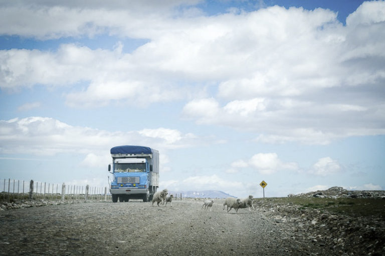 Argentina: gli scatti on the road di una fiorentina/FOTO
