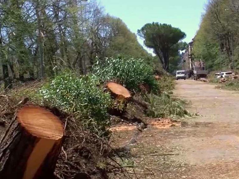 Tempesta d’agosto, morto 19enne