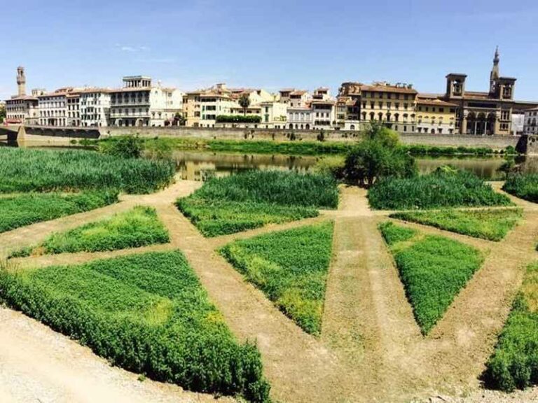 “Caccia al tesoro” lungo l’Arno, con il WWF
