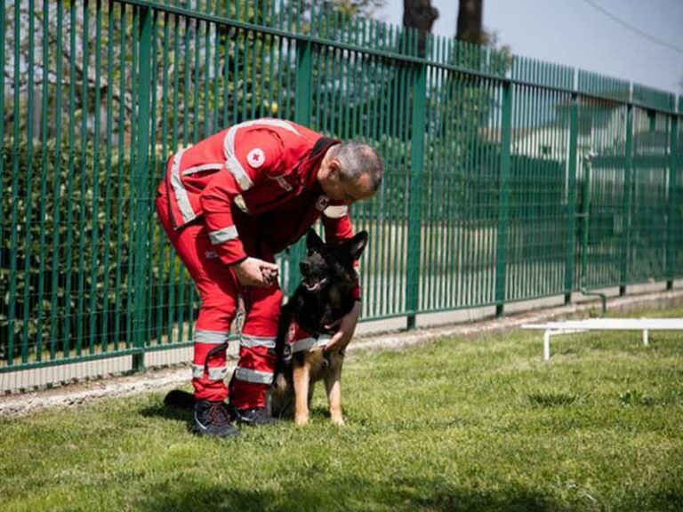 Il parco dove sono addestrati i cani eroi