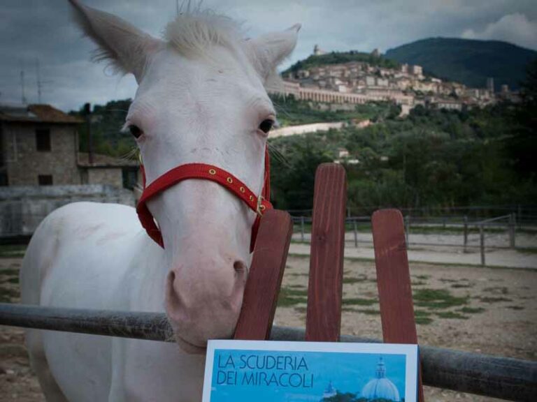 Le botteghe antiche si sfidano. A cavallo