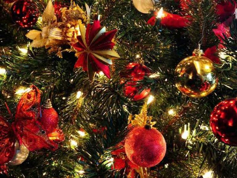 Ciao Natale: cosa farne degli alberi