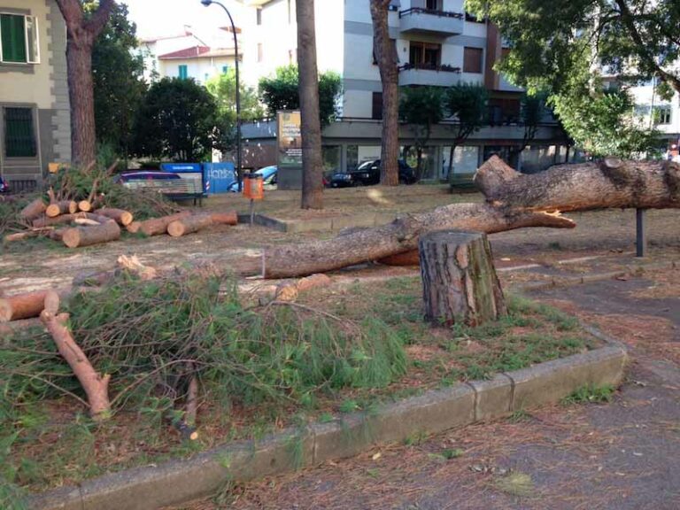 Nubifragio, giù 330 alberi. Danni a case, strutture e giardini