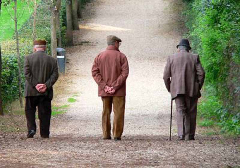 Alla BiblioteCaNova c’è “Saperi e Sapori”, il valore didattico dell’orto