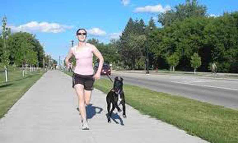 Alle Cascine va in scena la ”maratonina a 6 zampe”