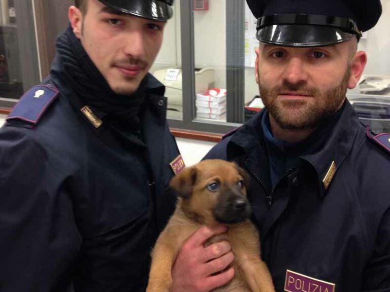 Prende a calci un cucciolo in stazione, denunciato