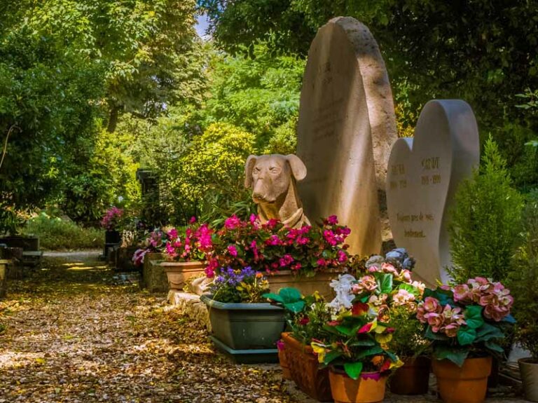 Un cimitero anche per gli animali