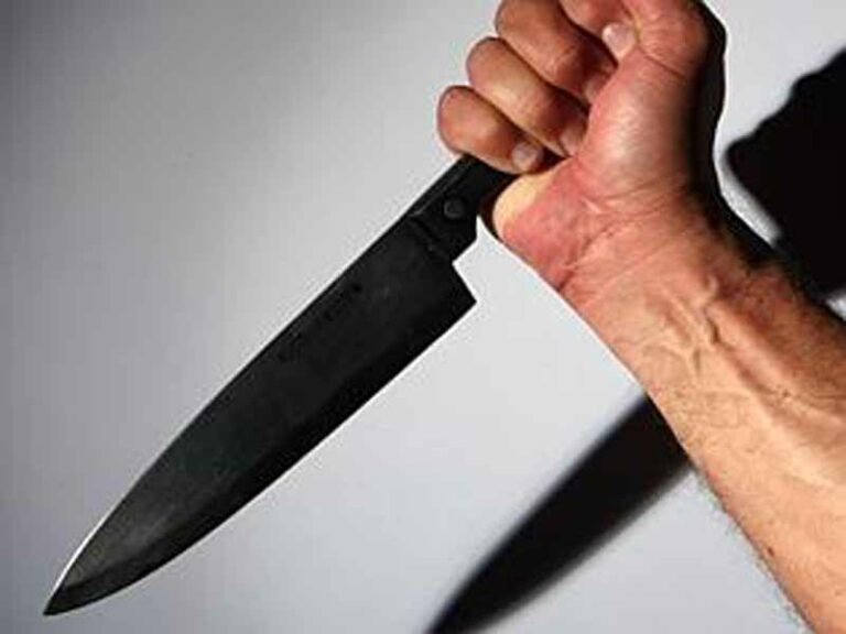 Accoltella la zia alla schiena, arrestato giovane rumeno