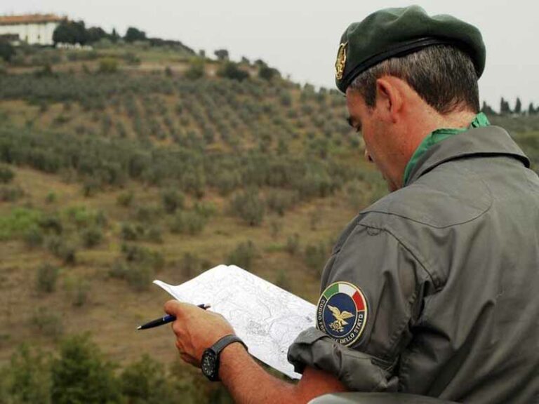 Va in cerca di funghi, si perde nel bosco