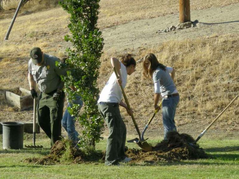 Un Q4 più ”green” per la Festa dell’Albero