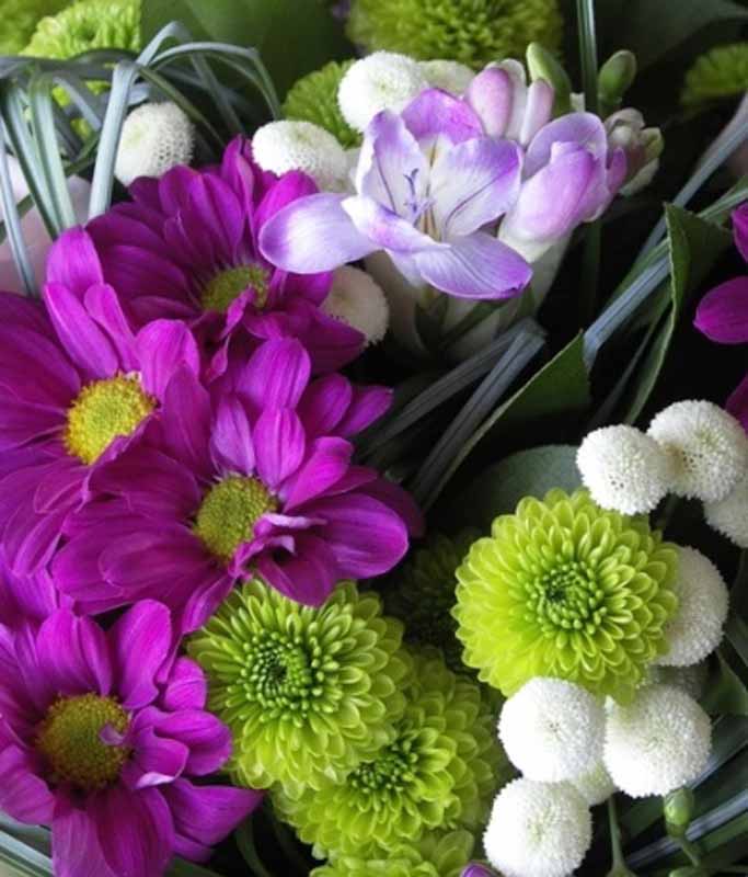 ”Profumo di Fiesole”, fra ville e fiori