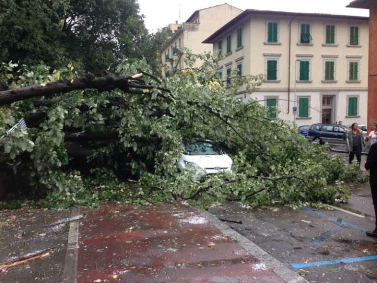Tempesta a Firenze: scuole evacuate, sottopassi allagati e alberi caduti