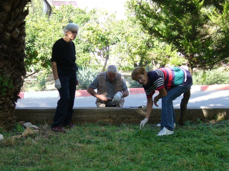 Il giardinaggio vien risparmiando: a Firenze in uso solo utensili elettrici