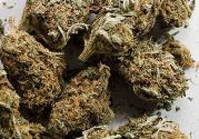 Spacciava marijuana in strada: catturato un pusher in San Lorenzo