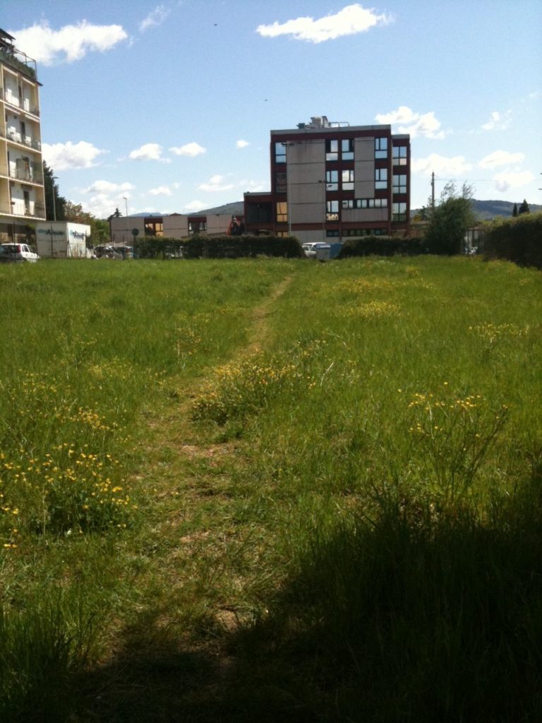 Guerrilla gardening? No, area cani fai da te