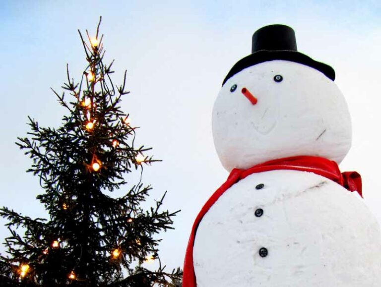 E l’albero di Natale dove lo metto?