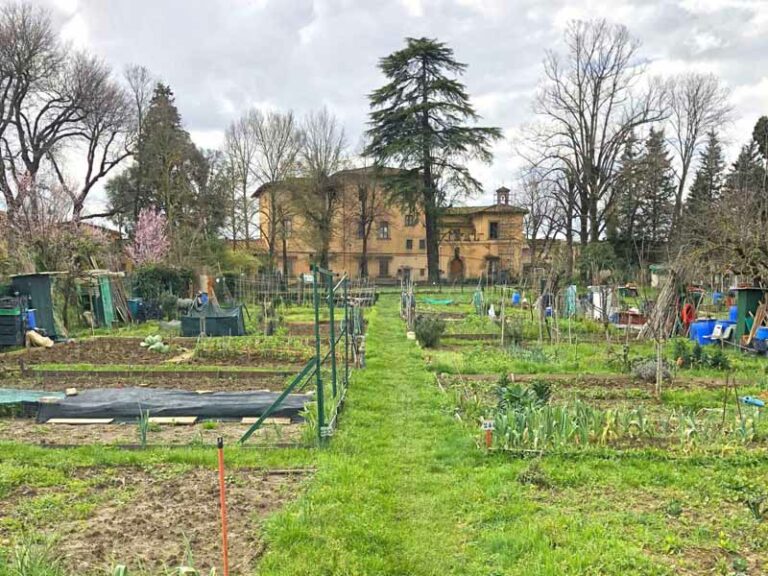 Gli orti sociali: un’isola felice ai piedi di Settignano