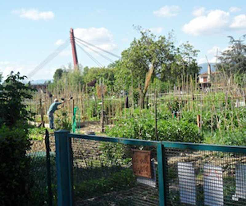 Orti sociali o sulla terrazza: contadini sì, ma (rigorosamente) di città