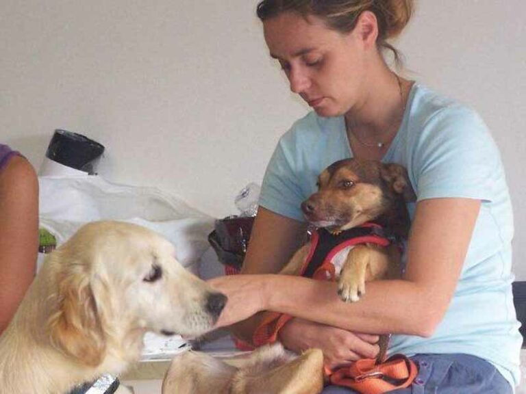 Guarire con gli animali: una giornata di studio sulla pet therapy