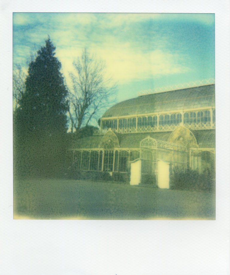Torna la Polaroid nella mostra al Glue