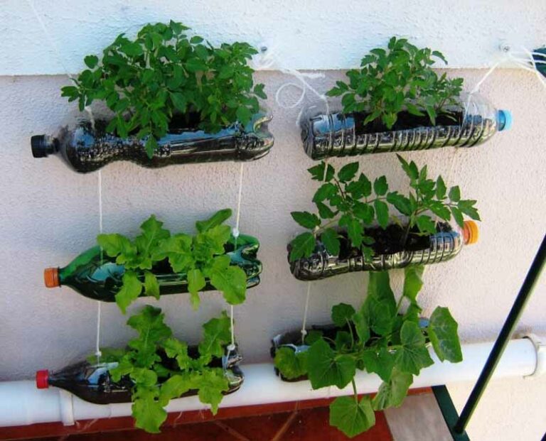 I consigli per fare un orto sul terrazzo