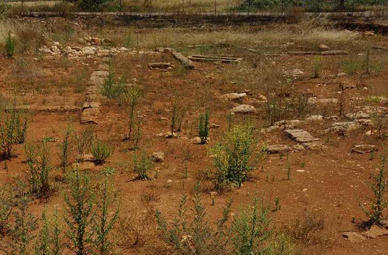 Equipe di archeologici porta alla luce un tempio di età romana