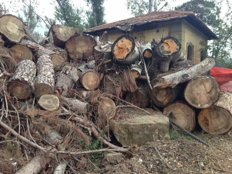 Cento architetti e agronomi per far rinascere l’Anconella