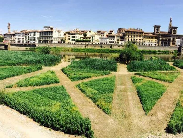 Terzo Giardino, un labirinto nel verde dove non te l’aspetti