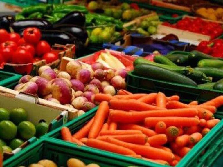 Recupero alimentare contro la povertà