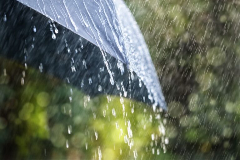 Meteo, piove su Firenze. Ma da domani torna il sole