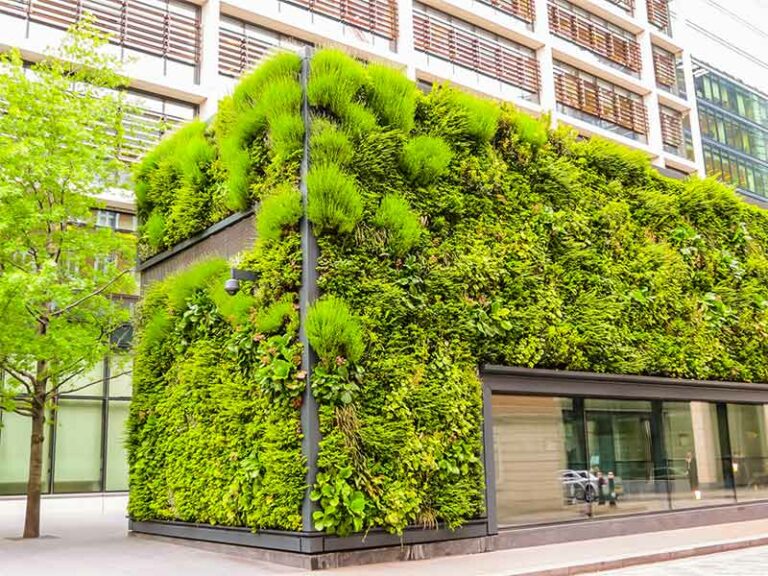 Nardella presenta il mandato green: “Via alla forestazione urbana”