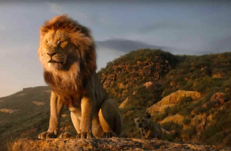 Cinema all'aperto Firenze settembre Chiardiluna Re leone