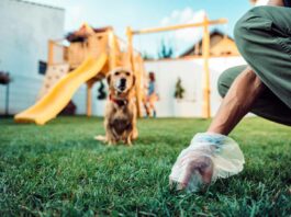 Dog plogging insieme al proprio cane a Firenze