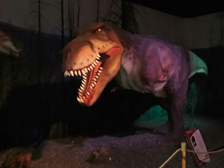 Dinosauri a Firenze: in mostra a Novoli (fino a marzo)