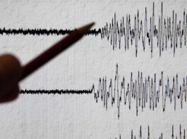 Terremoto smismografo