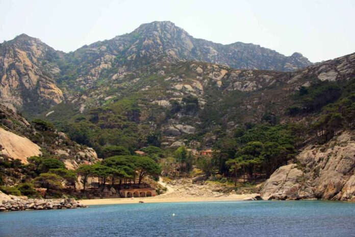 Isola Montecristo visite escursioni prenotazioni