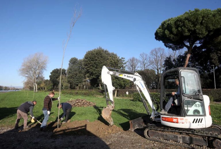 La “foresta” in città: a Firenze 15mila alberi in più